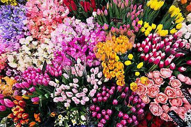 世界首款NFT游戏主机公布 割韭菜更方便了？