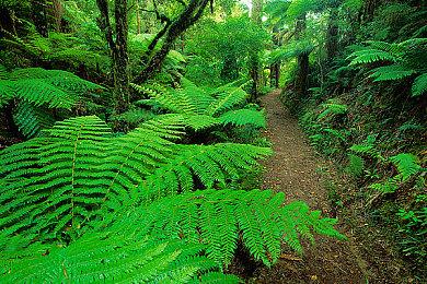 彭博社：《刺客信条：裂痕》设定在巴格达