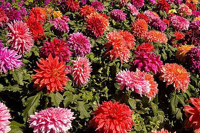 《守望先锋2》第17赛季新预告公布 6月25日开战